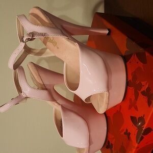 Pink Pleaser 6" High Heels